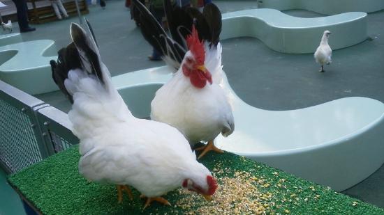 トリップアドバイザー提供