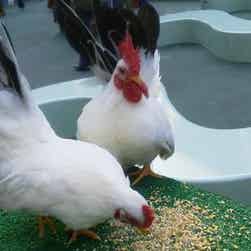 トリップアドバイザー提供