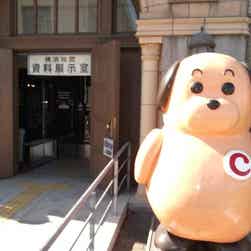 トリップアドバイザー提供