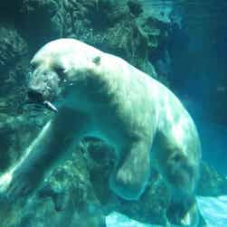 トリップアドバイザー提供