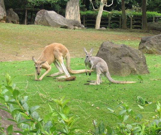トリップアドバイザー提供