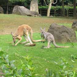 トリップアドバイザー提供