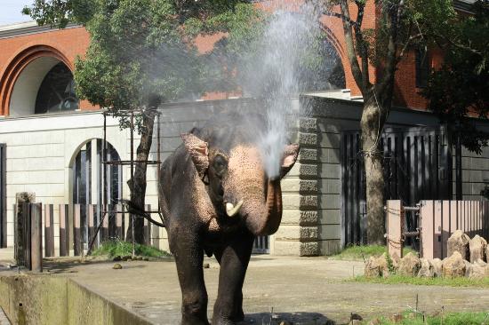 トリップアドバイザー提供