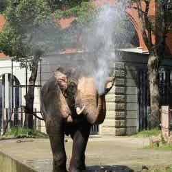 トリップアドバイザー提供