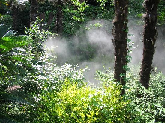 トリップアドバイザー提供