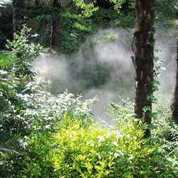 トリップアドバイザー提供