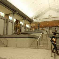 トリップアドバイザー提供