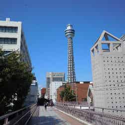 トリップアドバイザー提供