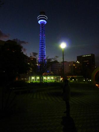 トリップアドバイザー提供