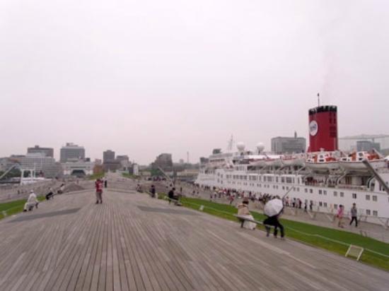 トリップアドバイザー提供