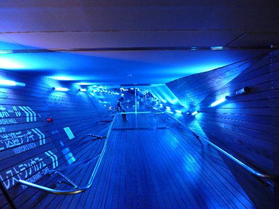 トリップアドバイザー提供