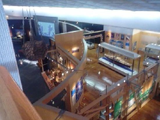 トリップアドバイザー提供