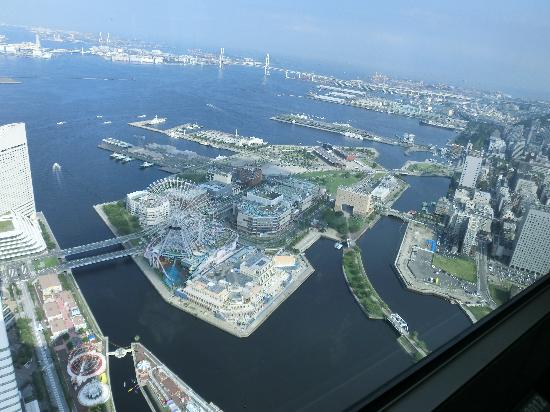 トリップアドバイザー提供