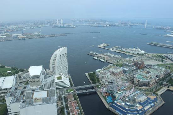 トリップアドバイザー提供