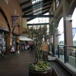 トリップアドバイザー提供