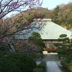 トリップアドバイザー提供