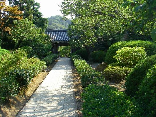 トリップアドバイザー提供