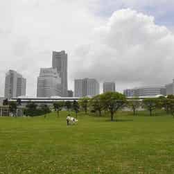 トリップアドバイザー提供