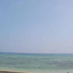 トリップアドバイザー提供