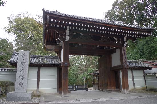 トリップアドバイザー提供