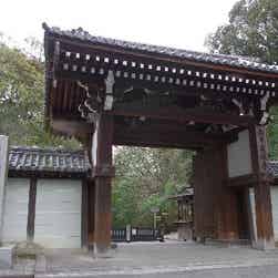 トリップアドバイザー提供