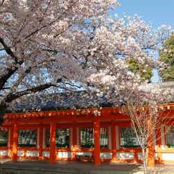 三十三間堂 女子旅プレス