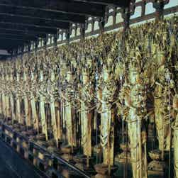 トリップアドバイザー提供