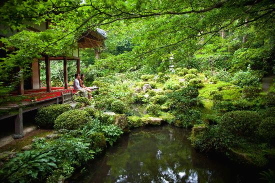 トリップアドバイザー提供