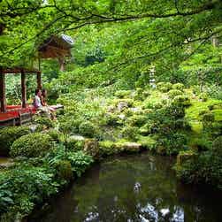 トリップアドバイザー提供