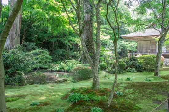 トリップアドバイザー提供