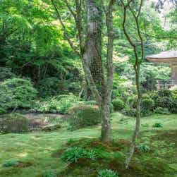 トリップアドバイザー提供