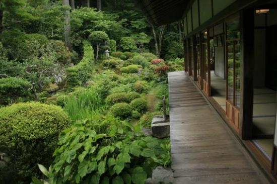 トリップアドバイザー提供