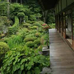 トリップアドバイザー提供