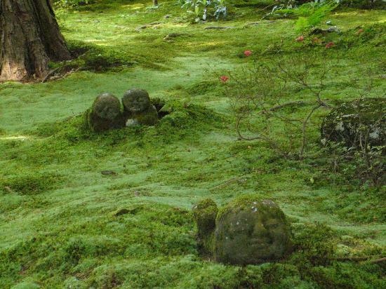 トリップアドバイザー提供