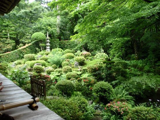 トリップアドバイザー提供