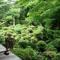 トリップアドバイザー提供