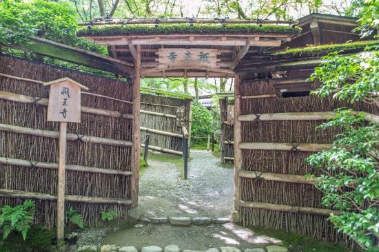 トリップアドバイザー提供