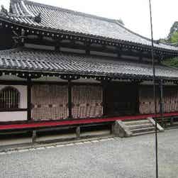 トリップアドバイザー提供