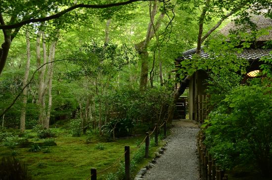 トリップアドバイザー提供