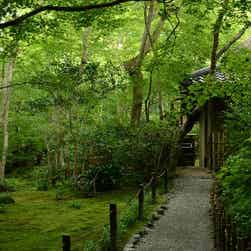 トリップアドバイザー提供