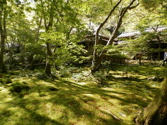 トリップアドバイザー提供