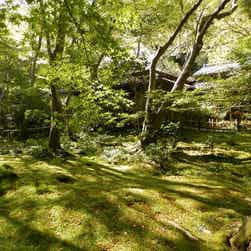 トリップアドバイザー提供