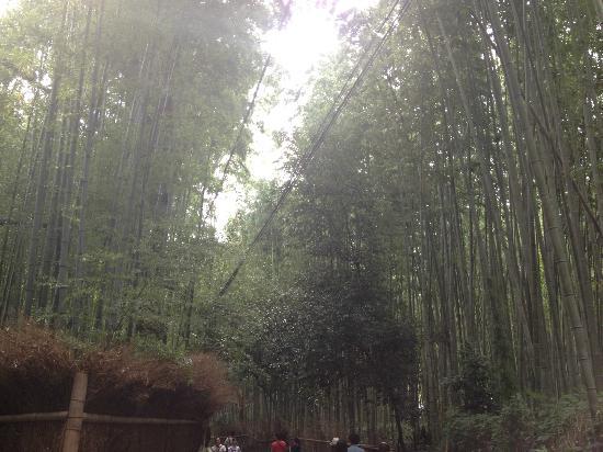 トリップアドバイザー提供