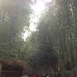 トリップアドバイザー提供