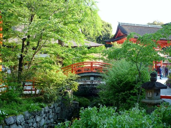 トリップアドバイザー提供