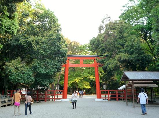 トリップアドバイザー提供