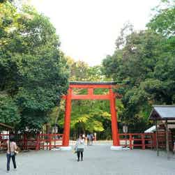 トリップアドバイザー提供