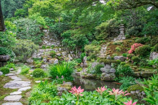 トリップアドバイザー提供