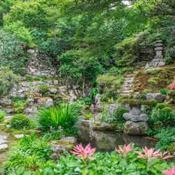 トリップアドバイザー提供