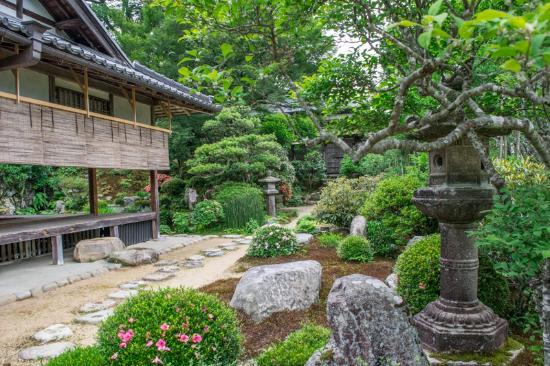 トリップアドバイザー提供